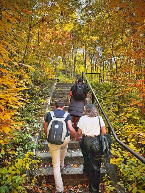 image n.12 of Montreal's Mount Royal Tour activity in Montreal, uploaded by supplier