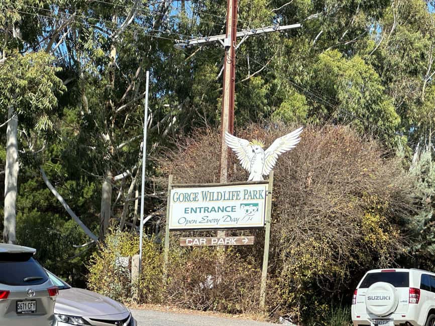 imagen n.º 7 de Desde Adelaida: Abraza a un Koala y Visita Histórica a Hahndorf actividad en Adelaida, subida por el proveedor