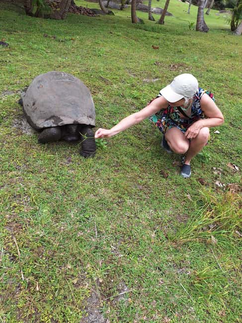 image n.30 of Praslin: Sister & Coco Island Full-Day Cruise and Creole BBQ activity in Mahé, uploaded by supplier