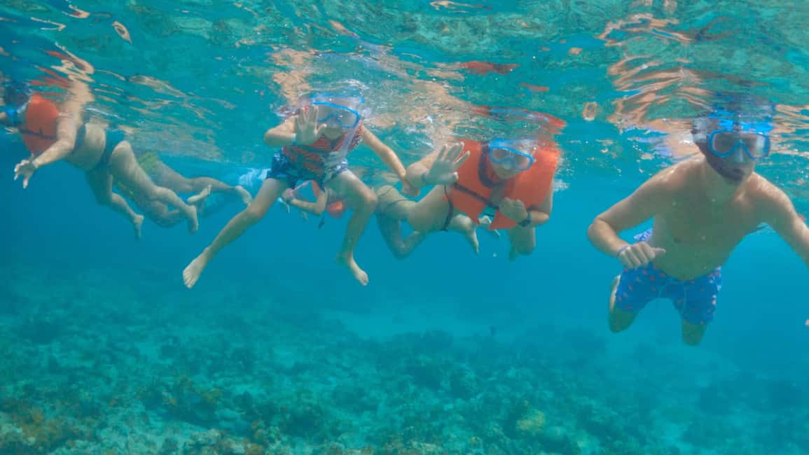 Image N°13 de Nassau : Cochons à la nage, plongée avec tuba et tour en bateau sur la plage activité à New Providence, publiée par le prestataire