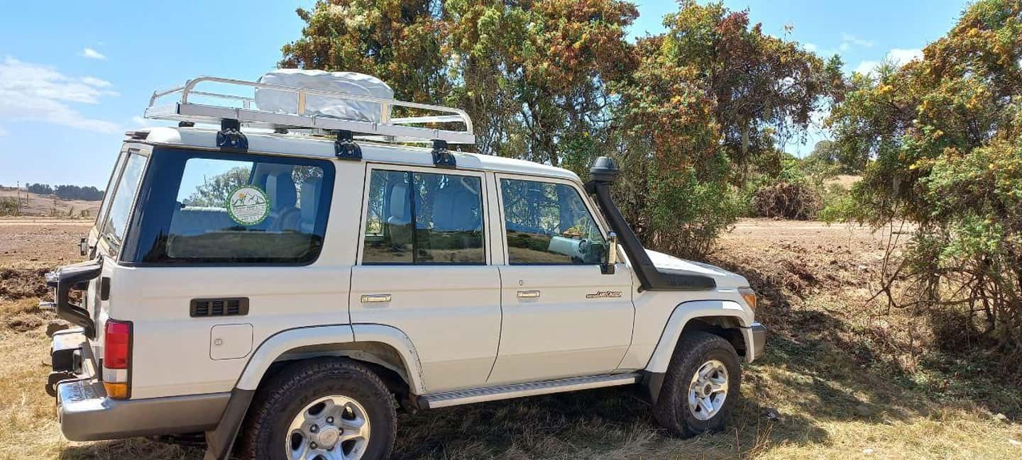 image n.13 of 3 Days Trekking & Wildlife Spotting in the Simien Mountains activity in Amhara Region, uploaded by supplier