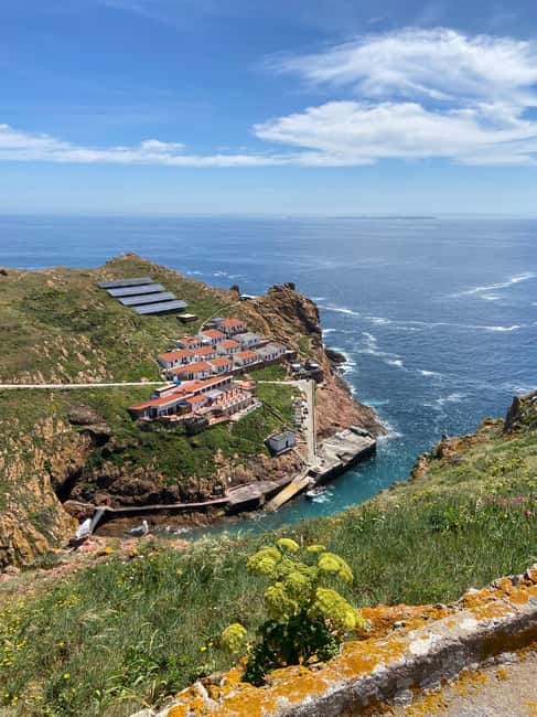 image n.7 of Peniche: Berlengas Island Round-Trip Ferry with Island Stop activity in Peniche, uploaded by supplier