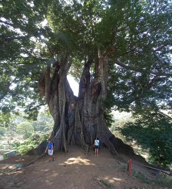imagem n.2 de Excursão à Ilha de Santiago atividade em Tarrafal, carregada pelo fornecedor