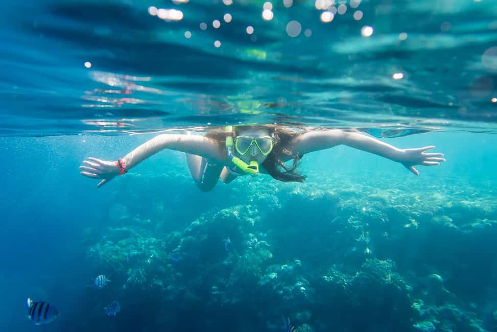 image n.4 of La Paz: Coral Farm Snorkel Tour activity in La Paz, Mexico, uploaded by supplier