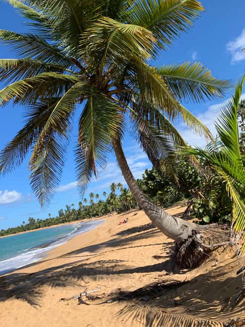 imagem n.3 de San Juan: Tour pelo estilo de vida, arte e cultura de Porto Rico atividade em San Juan, carregada pelo fornecedor