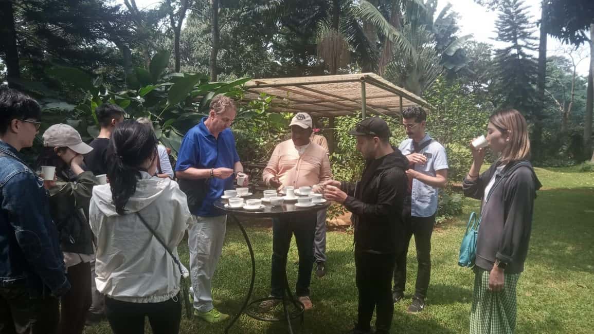 image n.64 of Coffee Farm Tour (Fairview) activity in Kiambu, uploaded by supplier