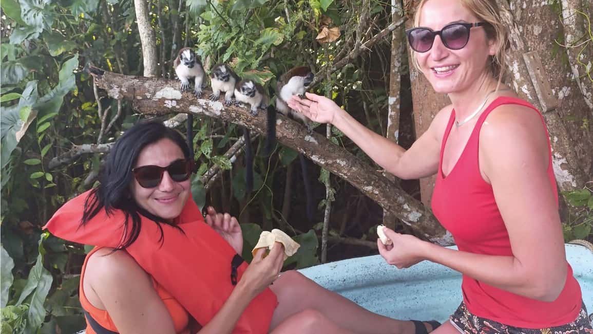 image n.2 of Panama Canal: Monkey Island and Jungle Hike Eco Tour activity in Colón Province, uploaded by supplier