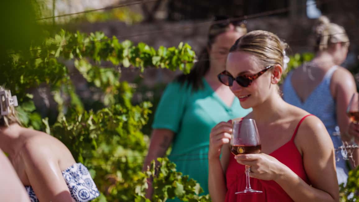 imagen n.º 3 de Málaga: Visita a viñedos y bodegas con 6 vinos de primera y tapas actividad en Málaga, subida por el proveedor