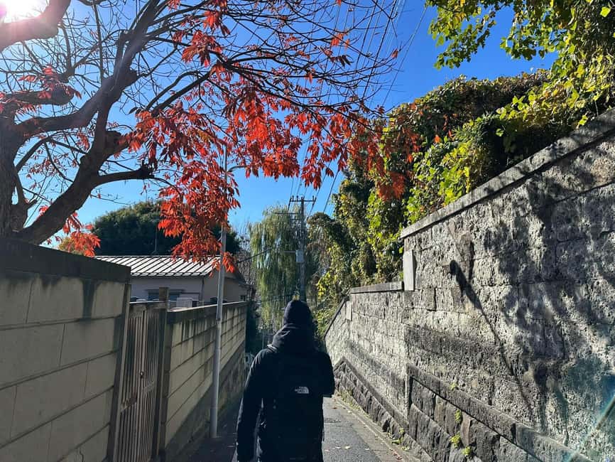 image n.25 of Tokyo : Stroll in the Old traditional town~Yanaka & Nezu activity in Tokyo, uploaded by supplier