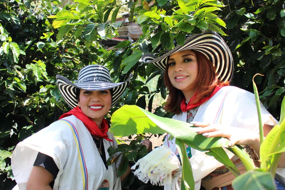 image n.1 of Medellin: Coffee Tour with Hotel Transfers and Meals activity in Medellin, uploaded by supplier