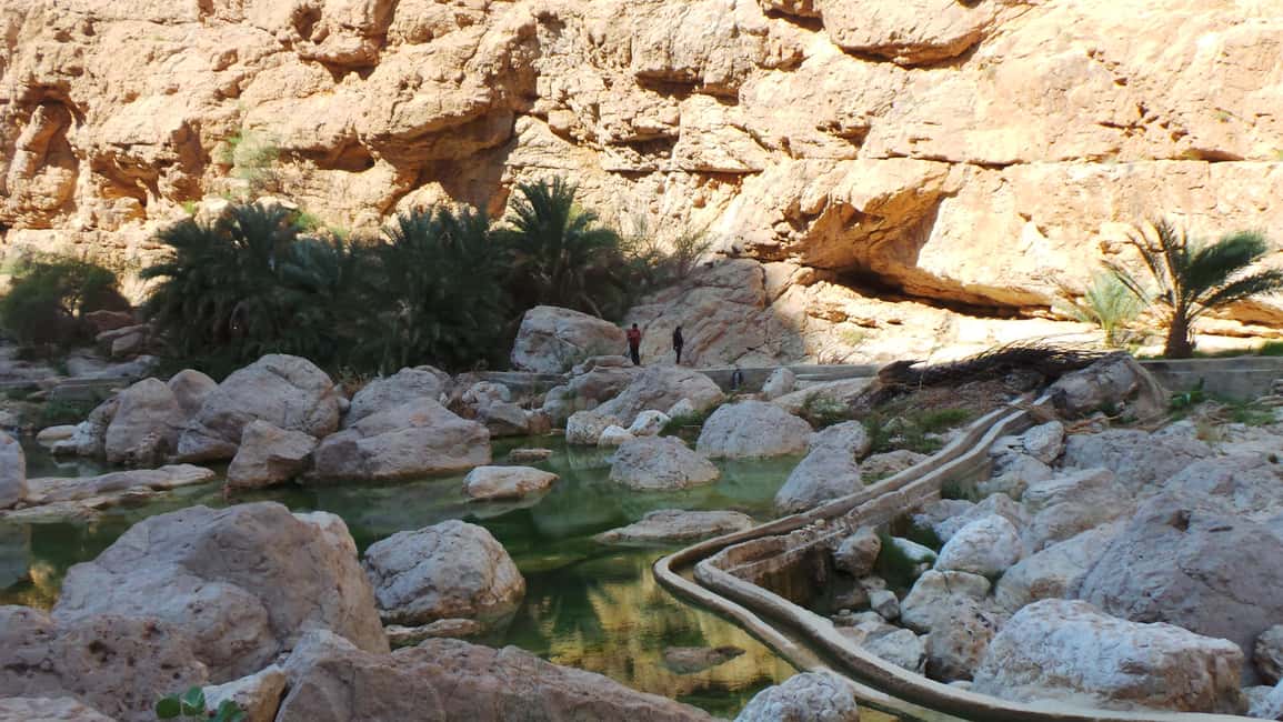 Immagine nº 26 di Da Muscat: Tour guidato di una notte nel campo del deserto attività a Regione al-Sharqiyya, caricata dal fornitore