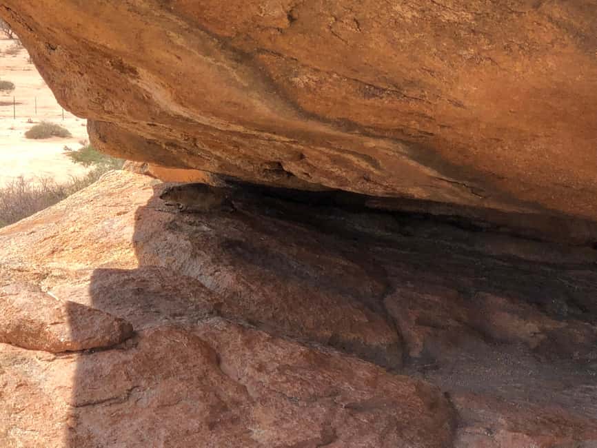 afbeelding n.5 van Spitzkoppe: 2-Daags Spitzkoppe Budget Avontuur activiteit in Erongo, geüpload door aanbieder