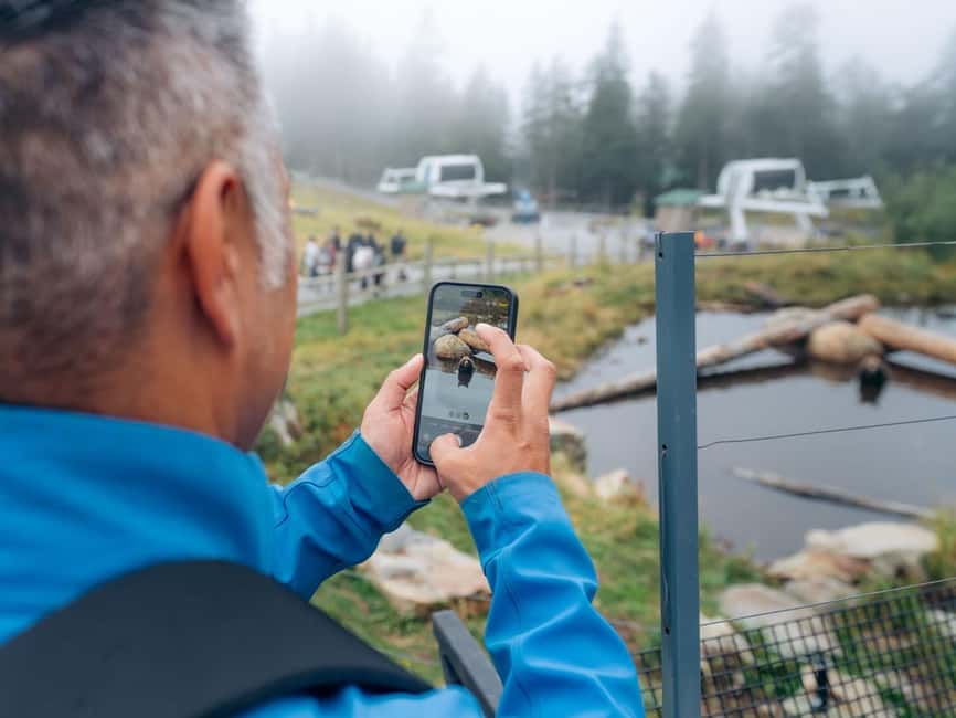 image n.16 of From Vancouver: Capilano Suspension Bridge & Grouse Mountain activity in Vancouver, uploaded by supplier