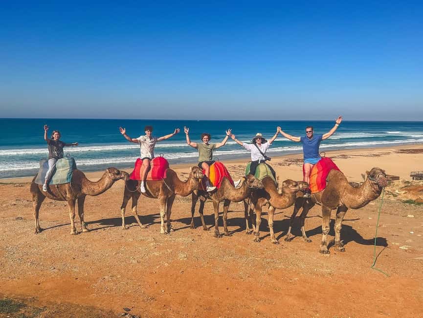 image n.6 of From Malaga: Tangier Day Trip with Ferry, Camel & Souks activity in Tangier, uploaded by supplier