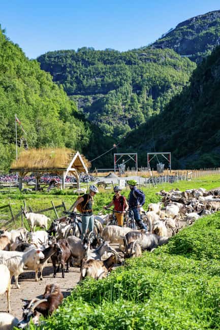 image n.11 of Private Day Tour- Flam Railway & Fjord Cruise From Bergen activity in Flåm, uploaded by supplier