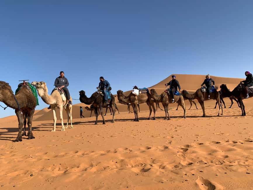imagen n.º 2 de Tour privado de lujo por el desierto de Casablanca 9 días actividad en Mequínez, subida por el proveedor
