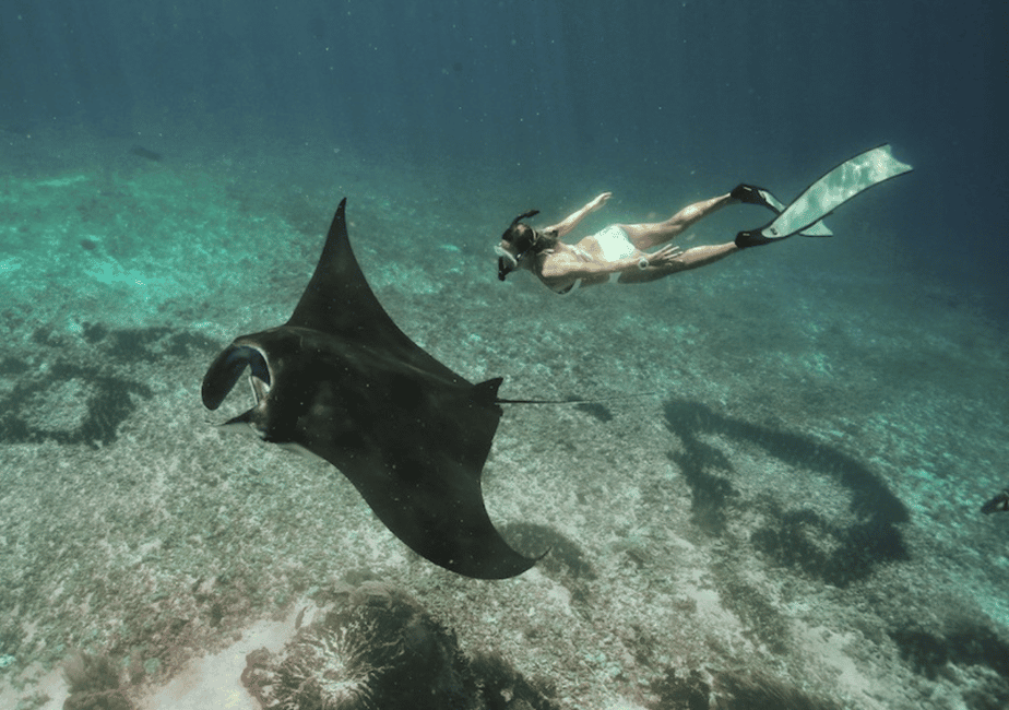 image n.18 of Komodo: 4-Day Private Tour with Overnight Boat and Hotel activity in East Nusa Tenggara, uploaded by supplier