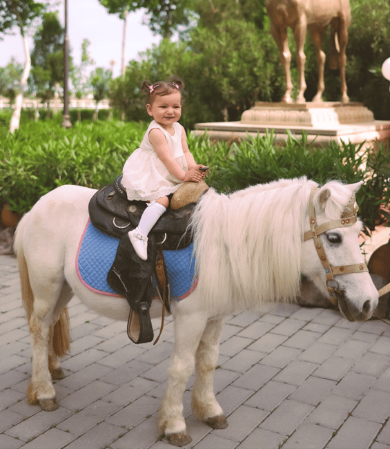 image n.7 of Baku: Horse Riding Club activity in Baku, uploaded by supplier