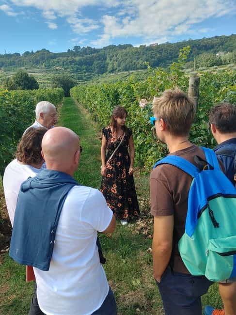 Immagine nº 45 di Il tour completo dell'Amarone: 2 cantine, pranzo e approfondimento sull'Amarone attività a Verona, caricata dal fornitore