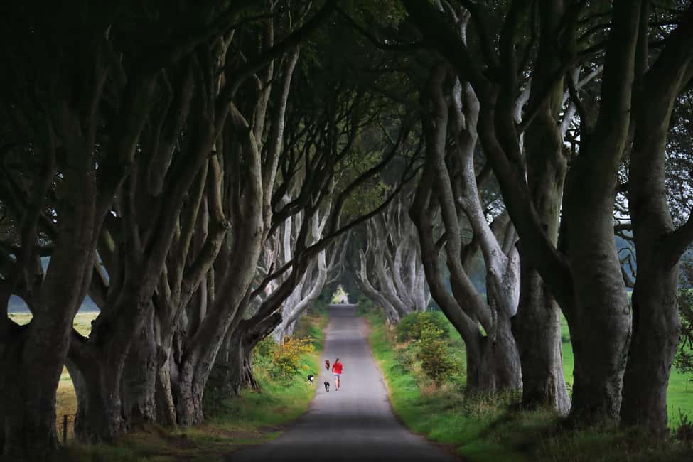 image n.16 of Giants causeway Irish castles & whiskey, Game of thrones activity in Bushmills, uploaded by supplier