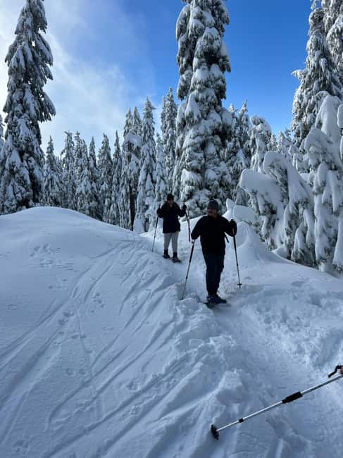 image n.4 of Vancouver: North Shore Mountains Snowshoeing with Transfer activity in West Vancouver, uploaded by supplier