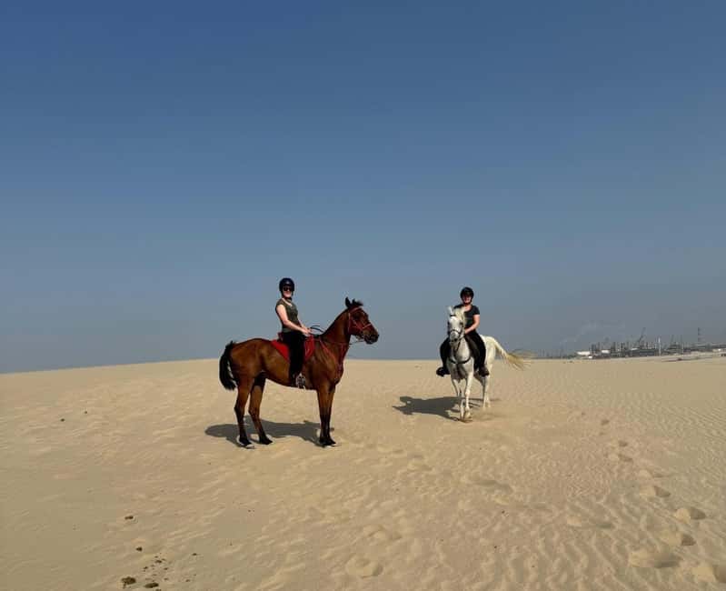Bild Nr. 5 von Doha Reitabenteuer in der Wüste mit Transfers Aktivität in Doha, hochgeladen vom Anbieter