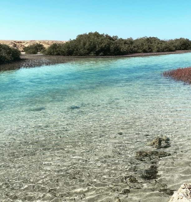 image n.9 of Sharm: Ras Mohammed Half Day Tour by Bus & Allah's gate activity in South Sinai, uploaded by supplier