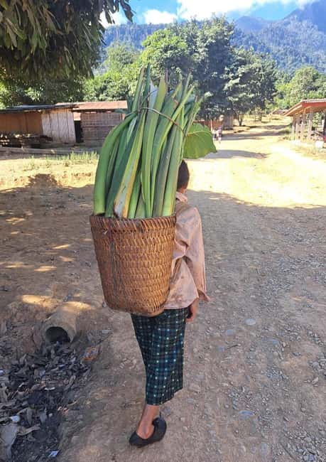 imagen n.º 23 de Nong Khiaw: 2 días de senderismo, pueblo Hmong, alojamiento en casa particular y kayak. actividad en Provincia de Luang Prabang, subida por el proveedor