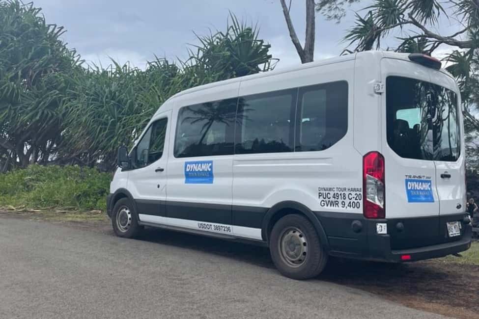 Immagine nº 11 di Hilo : Tour d'avventura del Parco Nazionale dei Vulcani dell'Isola Grande attività a Hawaii, caricata dal fornitore
