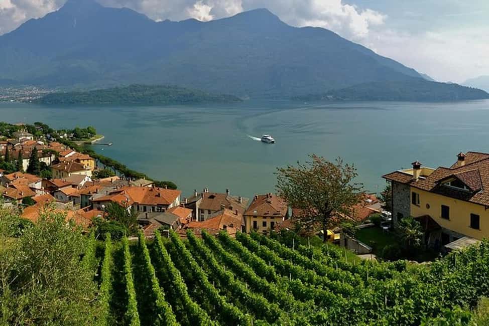 image n.10 of Lake Como: Winery Tour with Wine Tasting activity in Lombardy, uploaded by supplier