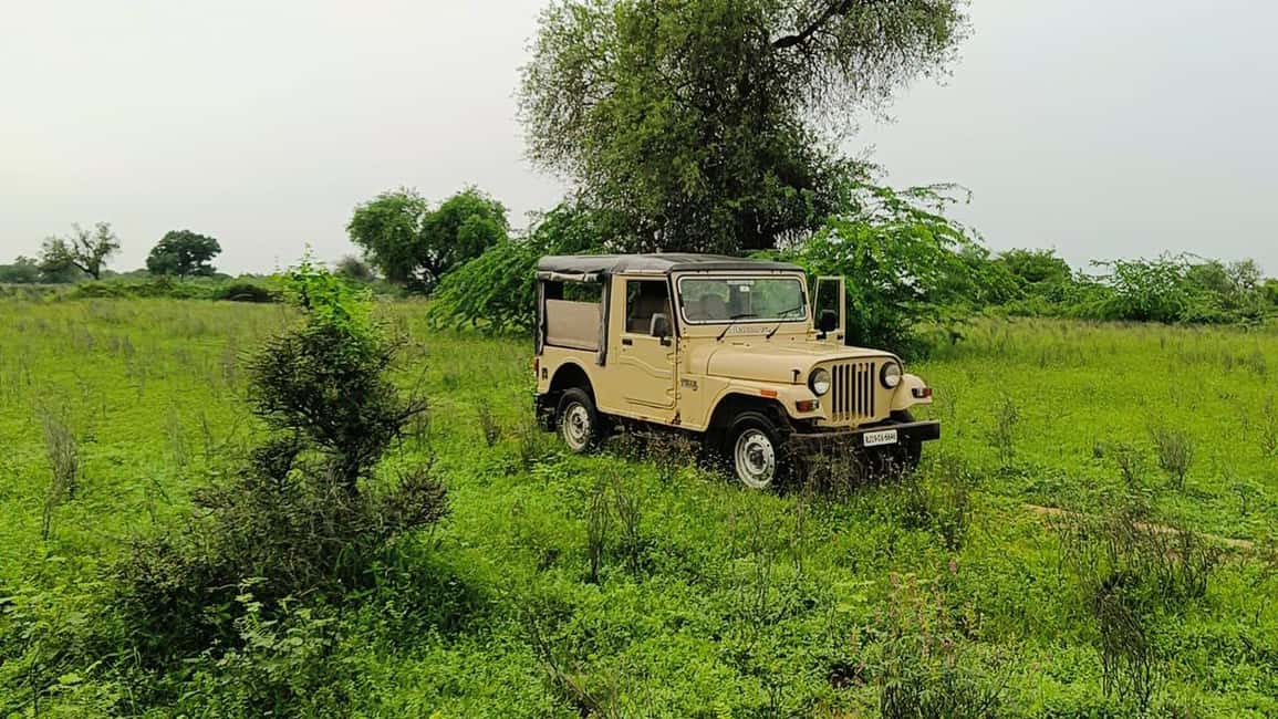 image n.1 of Bishnoi Village :Safari tour activity in Jodhpur, uploaded by supplier