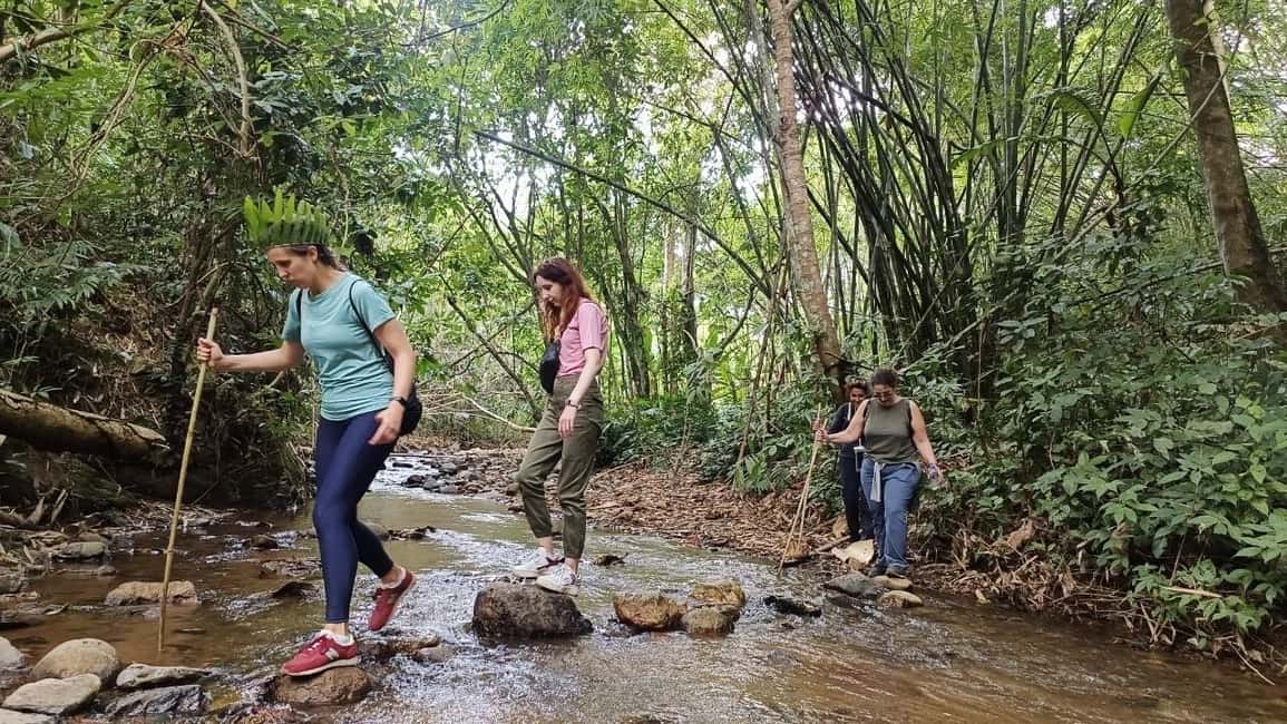 image n.42 of Chiang Rai Trek: 4 Hilltribes Villages & Waterfall Only Walk activity in Chiang Rai, uploaded by supplier
