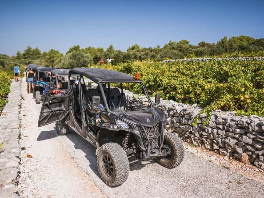 image n.4 of Korcula Buggy Safari With Wine Tasting activity in Korčula, uploaded by supplier