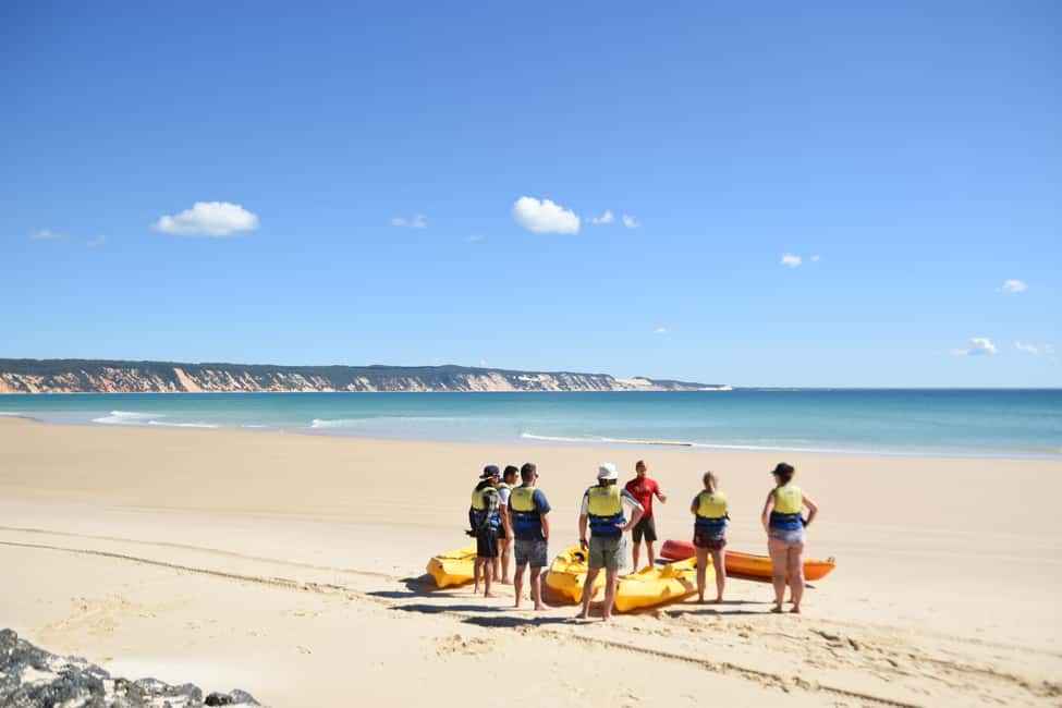 Image N°25 de Excursion en kayak à la rencontre des dauphins et visite du parc national en 4X4 sur la plage (privée) activité à Région de Gympie, publiée par le prestataire