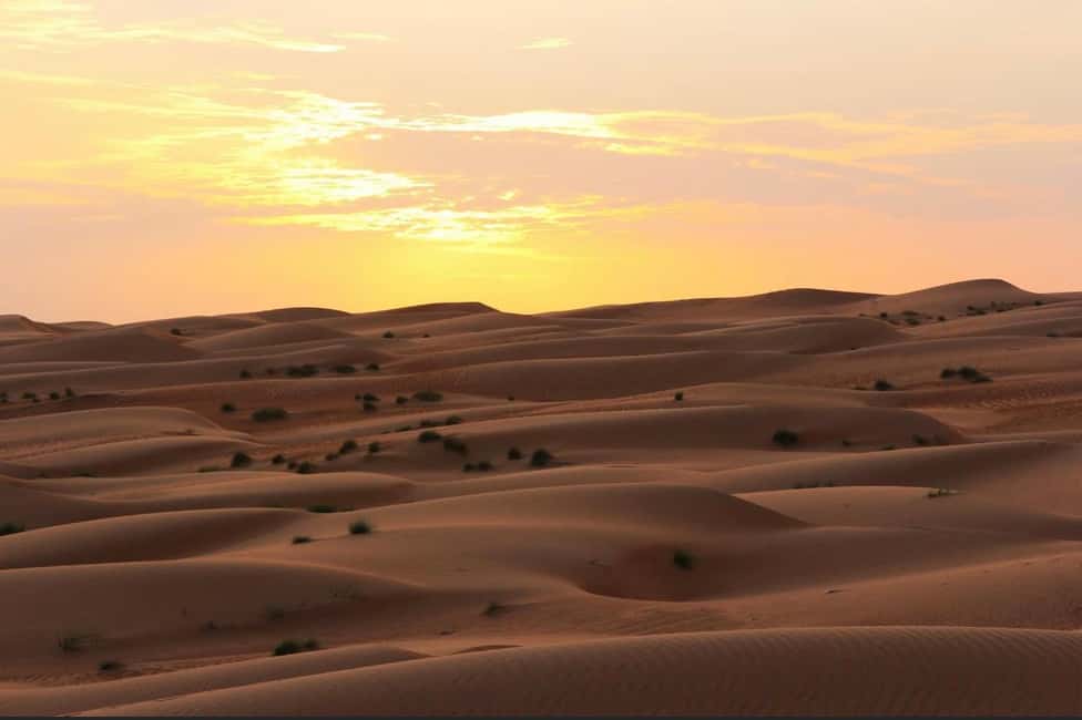 Immagine nº 33 di Avventura nel deserto di Wahiba , Nuoto nel Wadi Bani Khalid attività a Regione al-Sharqiyya, caricata dal fornitore