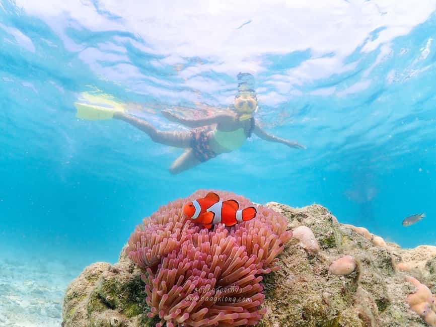 imagen n.º 4 de Bangkok: Excursión de un día a la Isla de Nemo con fotos de drones y almuerzo actividad en Pattaya, subida por el proveedor