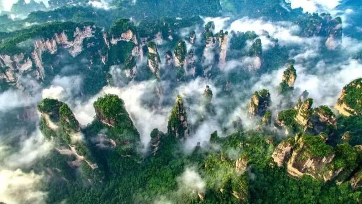 Image N°7 de Visite privée de 6 jours : rizières en terrasses de Guilin, Fenghuang et Zhangjiajie activité à Zhangjiajie, publiée par le prestataire