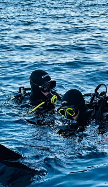 Bild Nr. 9 von Budva Diving – Taucherlebnis Aktivität in Budva, hochgeladen vom Anbieter