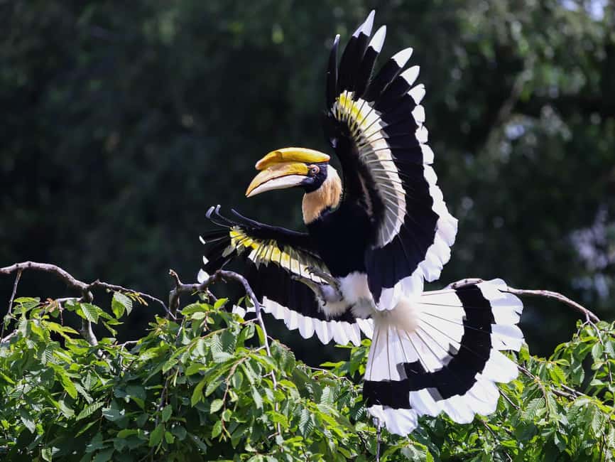 imagen n.º 4 de Alphen aan den Rijn: Entrada al Parque Ornitológico Avifauna actividad en Alphen aan den Rijn, subida por el proveedor
