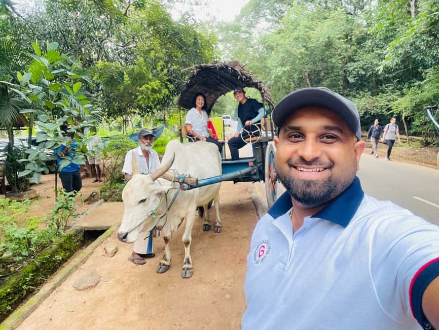 image n.28 of From Colombo: Sigiriya and Dambulla Day Trip and Safari activity in Sigiriya, uploaded by supplier