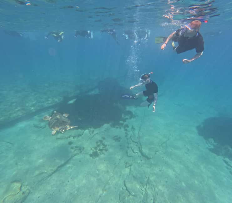 image n.14 of Paphos: Turtle-Watching Snorkeling Sea Scooter Trip activity in Paphos, uploaded by supplier