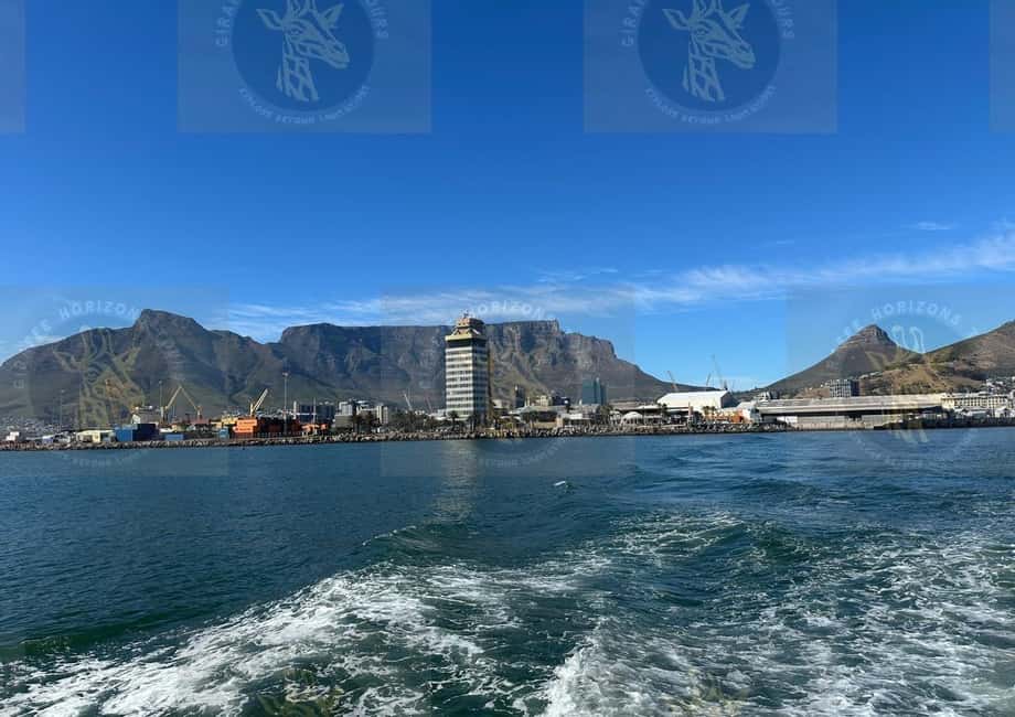 imagem n.31 de Cidade do Cabo: Ferry para Robben Island com ingresso para a prisão e passeio atividade em Cidade do Cabo, carregada pelo fornecedor
