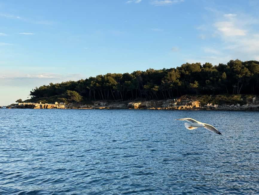 afbeelding n.13 van Golf-Juan: zeiltocht naar de Lérins-eilanden, snorkelen activiteit in Cannes, geüpload door aanbieder