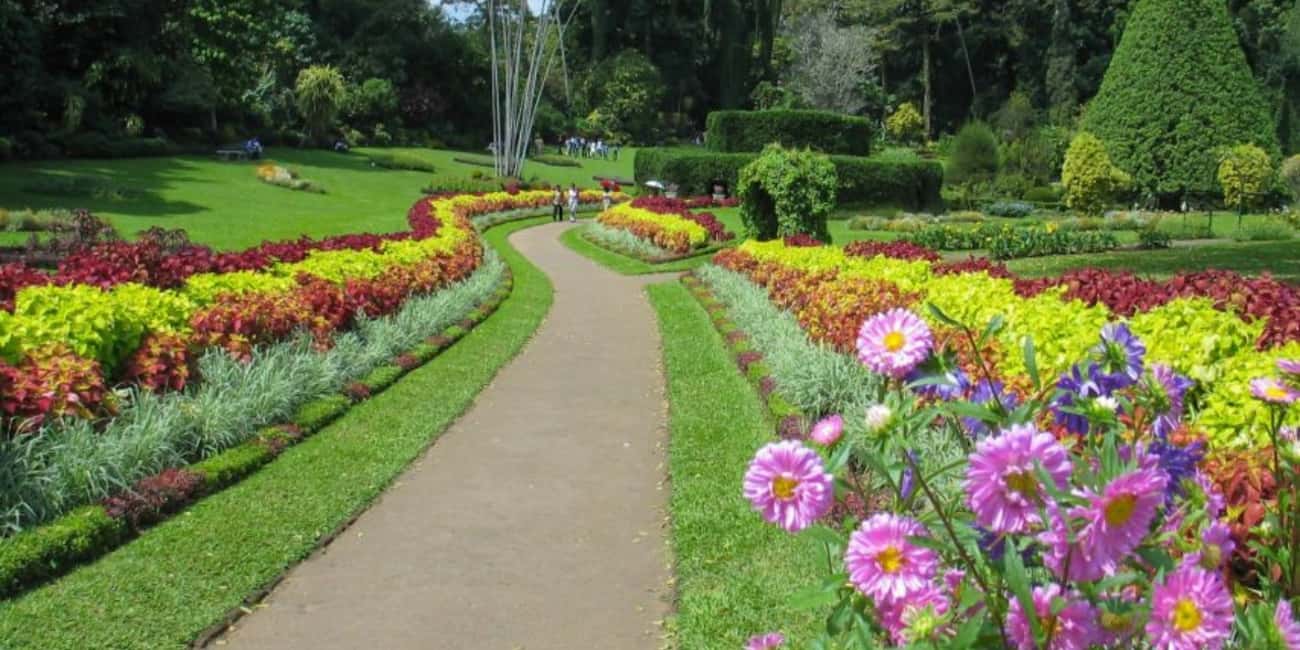 Kandy e Pinnawala: viagem privada de um dia saindo do porto de Colombo |  GetYourGuide, image size:1300x650