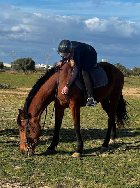 Image N°16 de Sousse/Monastir : excursion privée à cheval avec transfert activité à Monastir, publiée par le prestataire