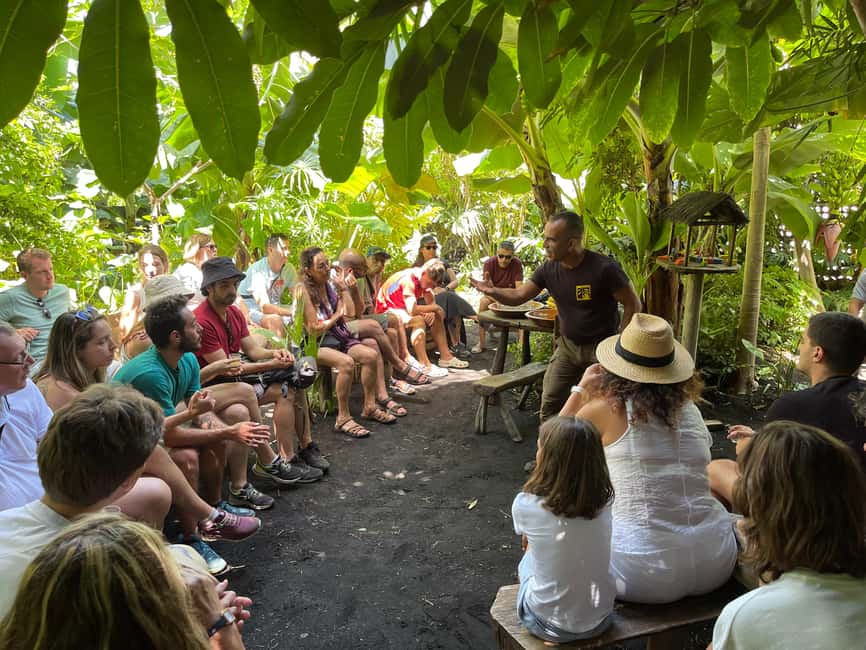 Bild Nr. 2 von La Palma: Tour durch den essbaren Wald PlatanoLógico Aktivität in Kanaren, hochgeladen vom Anbieter