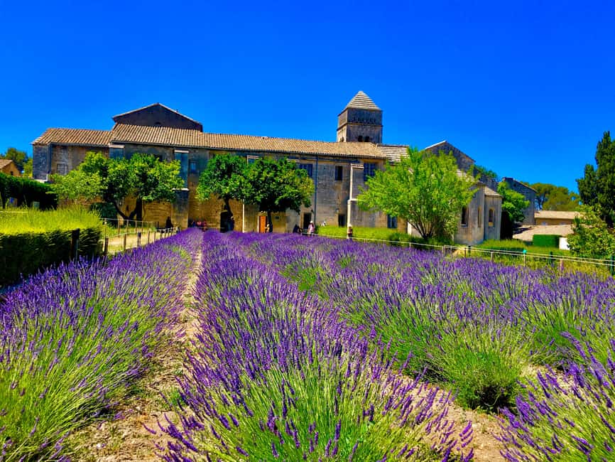 imagem n.6 de Seguindo os passos de Van Gogh atividade em Saint-Rémy-de-Provence, carregada pelo fornecedor