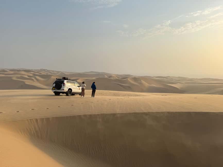 image n.80 of Walvisbay: Sandwich Harbour 4x4 Tour-Unparalleled Experience activity in Erongo, uploaded by supplier