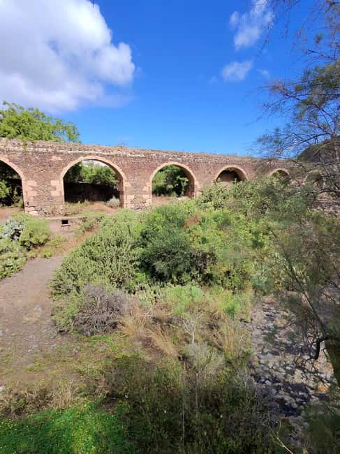 image n.35 of Private Bandama Caldera, Botanic Garden(/Wine*), Old Town activity in Las Palmas, uploaded by supplier