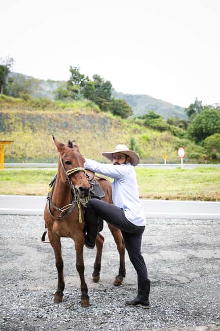 imagem n.5 de Medellín: Tour do café, chegada a cavalo e cana-de-açúcar atividade em Medellín, carregada pelo fornecedor